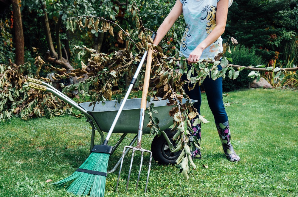 Why You Should Use A Dumpster For Your Summer Cleanout