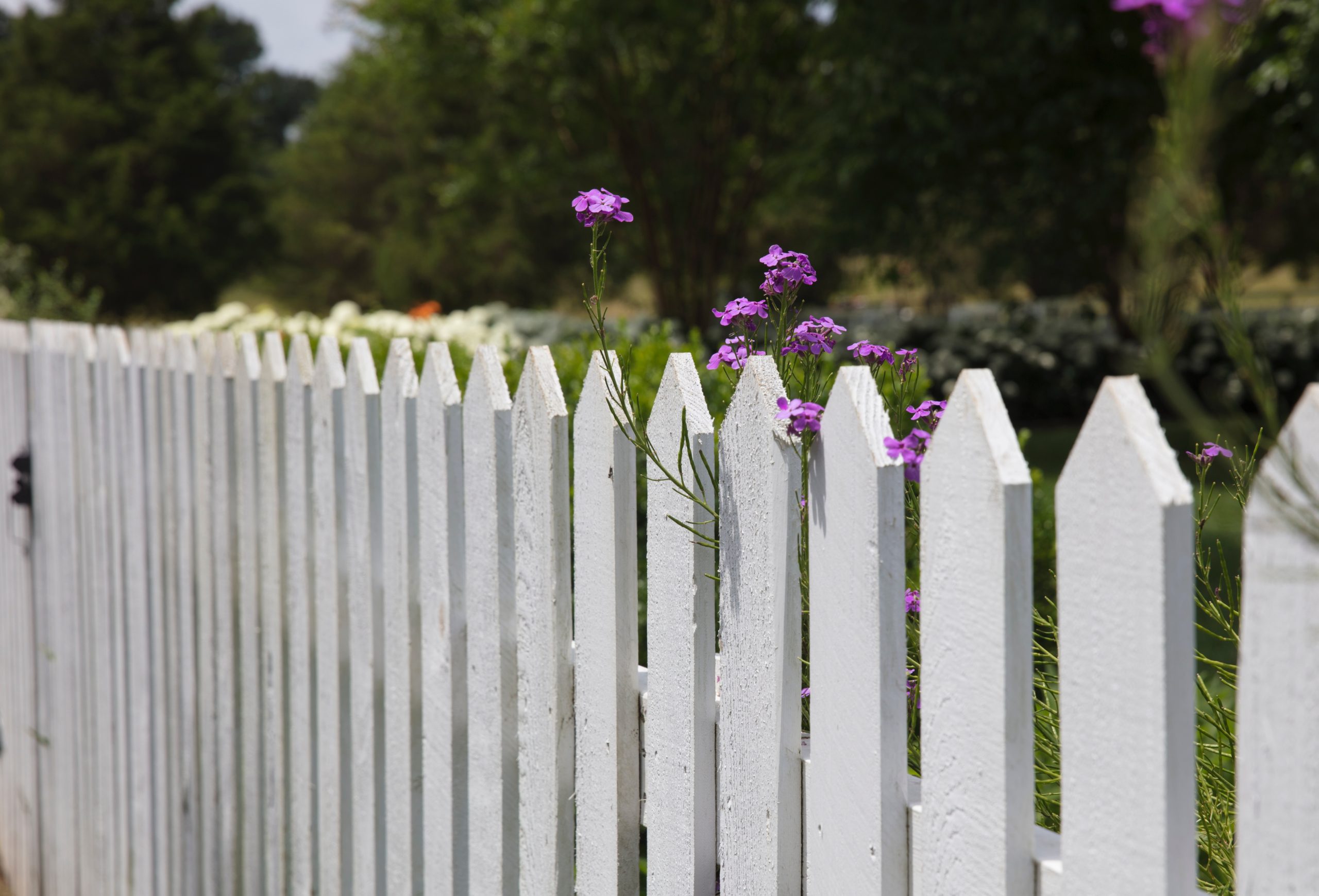How To Take Down & Dispose Of Fencing