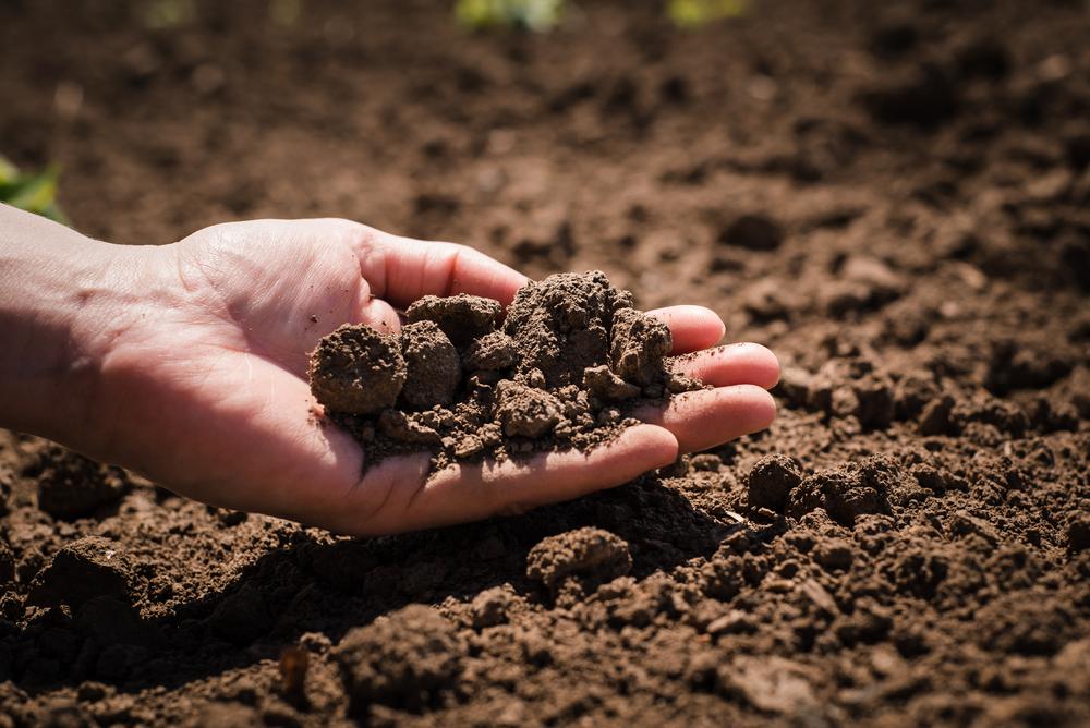 Soil,,Cultivated,Dirt,,Earth,,Ground,,Brown,Land,Background.,Organic,Gardening,