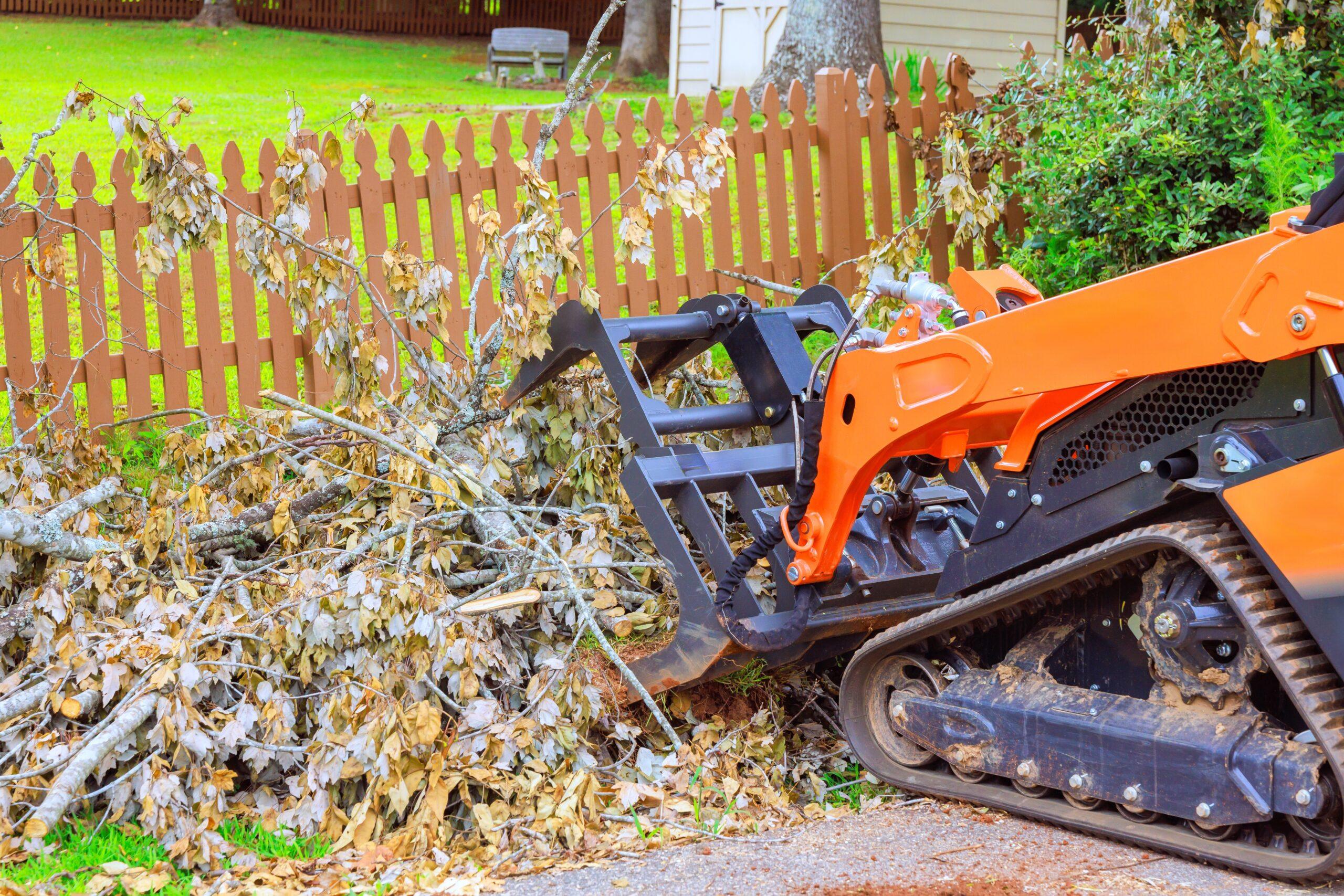 Heavy,Machinery,Removes,Debris,Fallen,Branches,In,Backyard,,Progress,Using